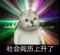 图一乐:久宅在家的玩家们,终于开始动手造高达了…