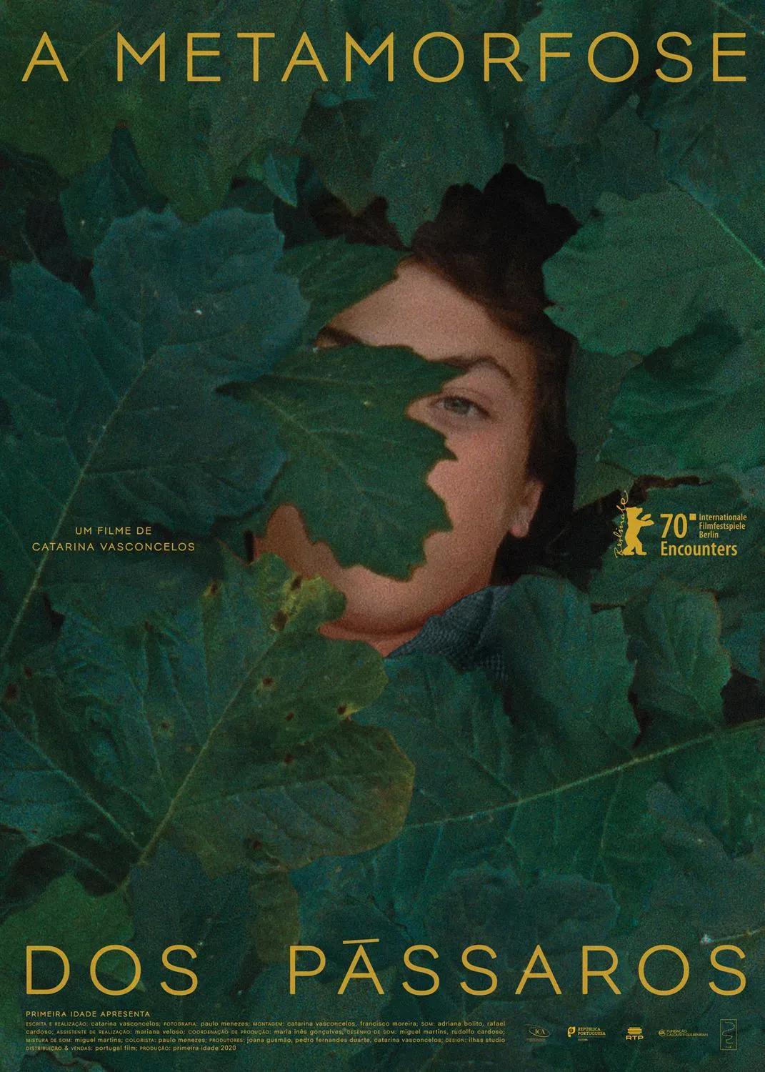 至暗的一年里的电影 (带你看最长的电影)