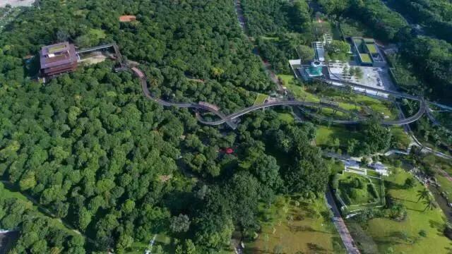 深圳花海景区推荐图片大全,深圳哪里有大片花海