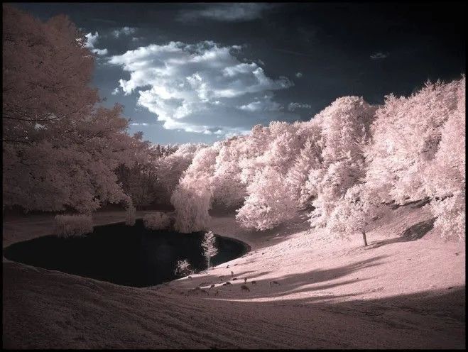 这个手机镜头竟能拍透视照？我劝你善良