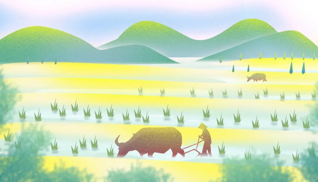 30首芒种诗词读起来真美,今日芒种十首最美芒种诗词