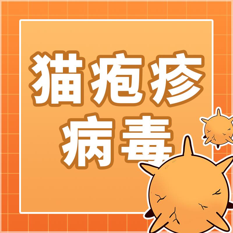 猫感染疱疹咳嗽,猫有眼屎打喷嚏怎么回事