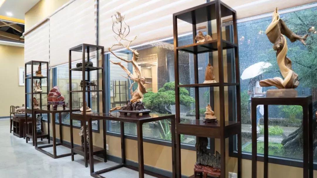 私密性极高的美学餐厅,被称容桂“御温泉”,知道的人并不多...