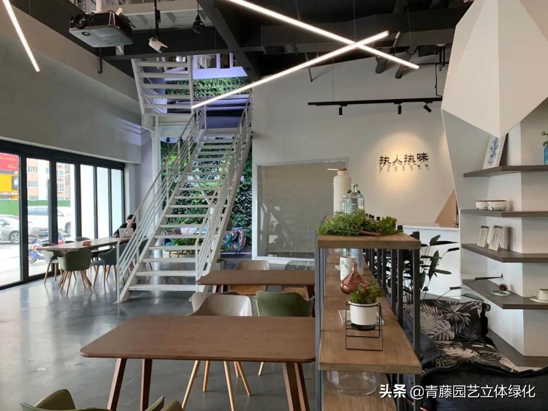 植物墙软装装饰设计,软装墙和植物墙怎么融合