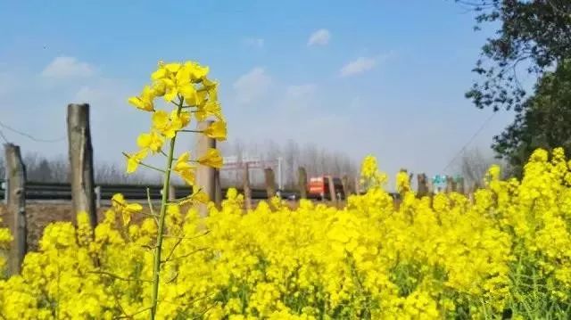 在上海拥有这样一个露台多幸福,在上海有一种温暖叫邻里互助