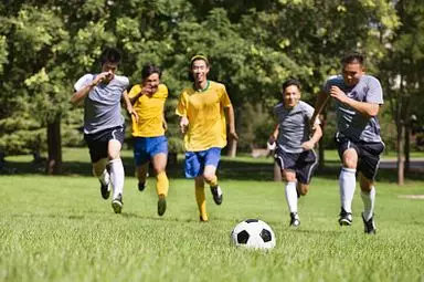 看足球的仪式,世界足球日主题日图