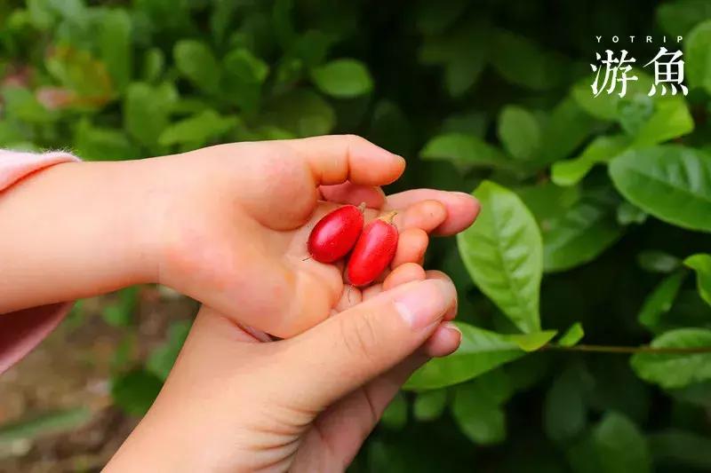 希尔顿兴隆湖,希尔顿酒店兴隆店