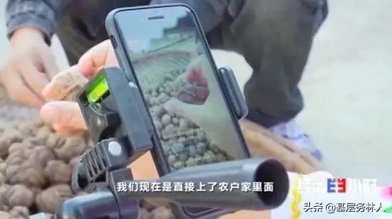 云南核桃批发价是多少钱一斤,云南的核桃价格多少一斤