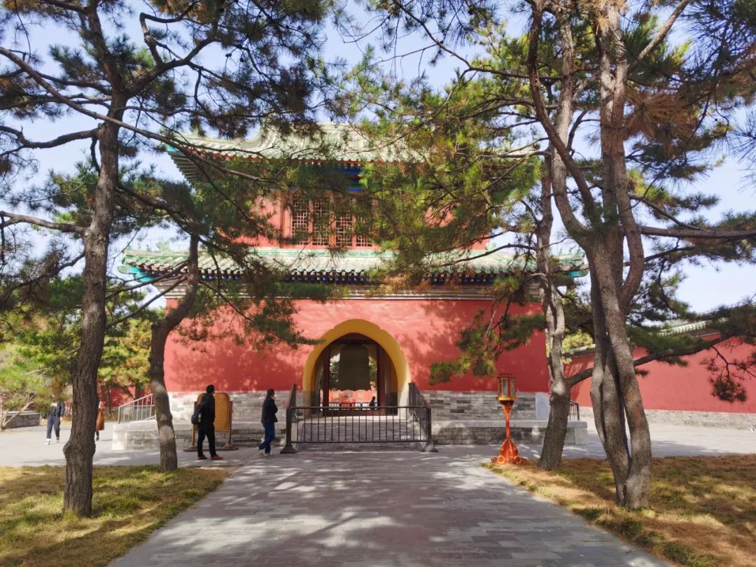 天坛和地坛区别,天坛对对碰桌游