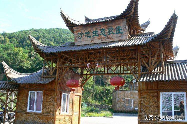 农村十大冷门赚钱行业排行榜,农村十大冷门暴利生意有哪些