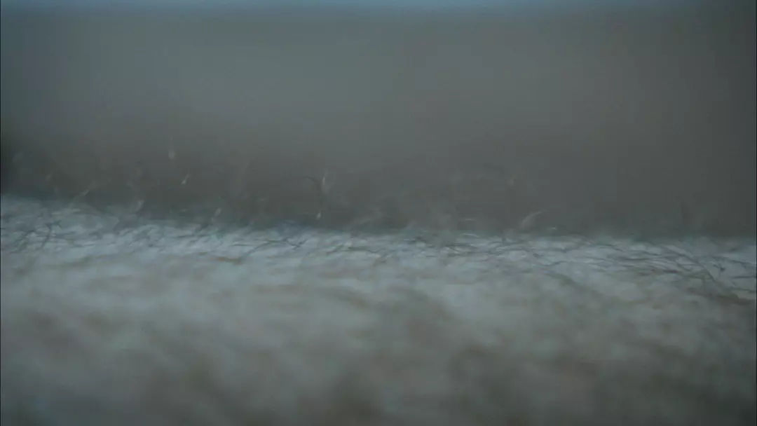 惊世骇俗电影,惊世骇俗全集