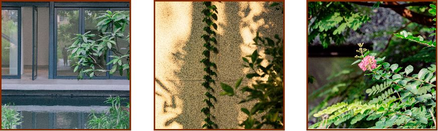 深圳宝安喝茶的世外桃源,宝安西乡世外桃源