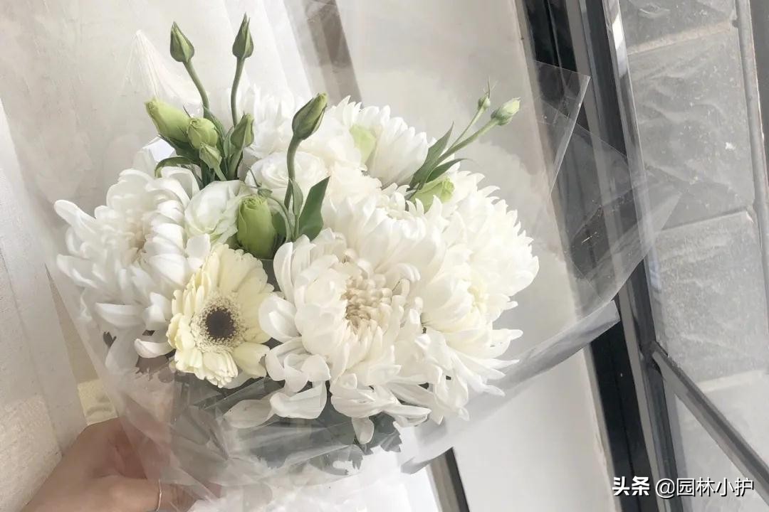 清明寄相思短句,朗诵清明寄相思