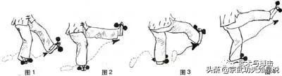 戳脚拳八十一种腿法练法,百家拳招式