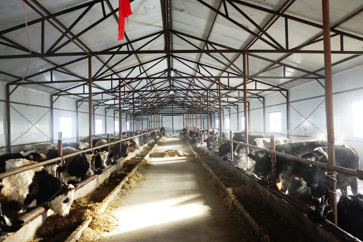 广东精选：江门市“55项”获批项目，及时发布，抓住收获商机