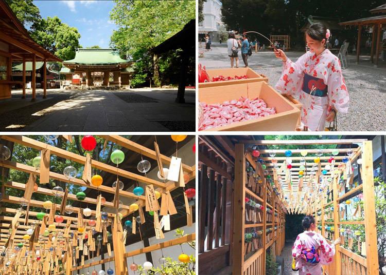 江户时代江户城,日本旅游江户时代