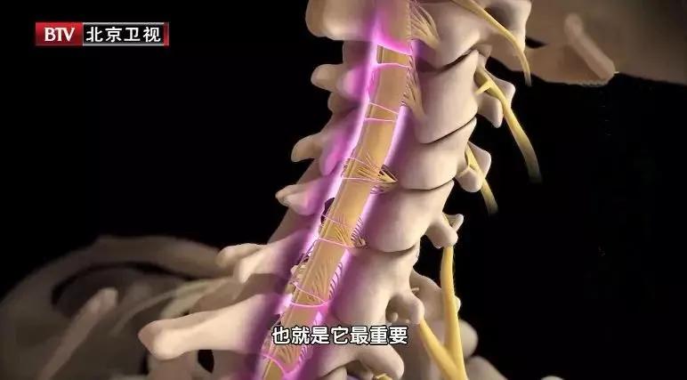 骨刺致命吗,有了骨刺也别怕几个方法消除它