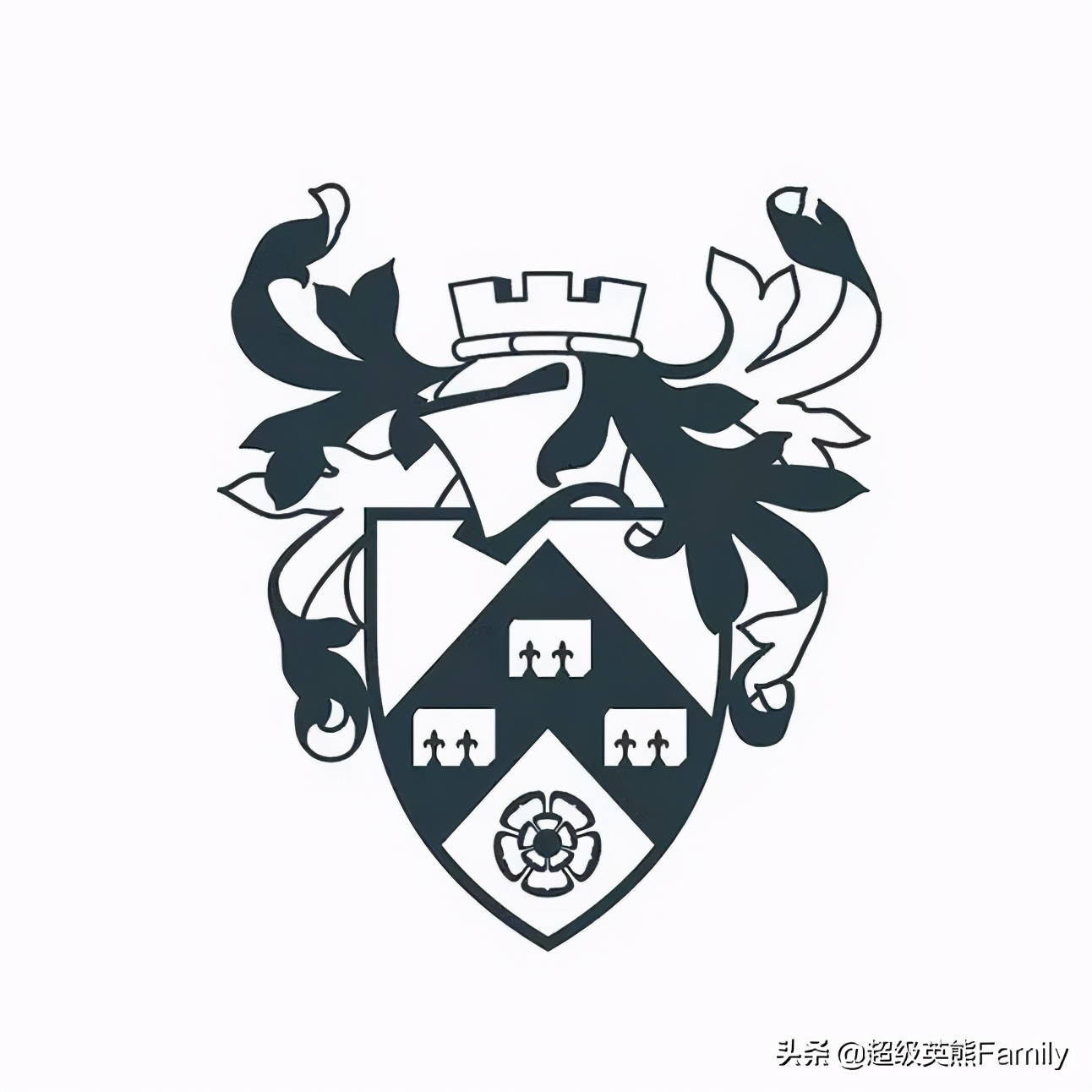 英国金史密斯艺术大学设计学,英国金史密斯艺术学校怎样