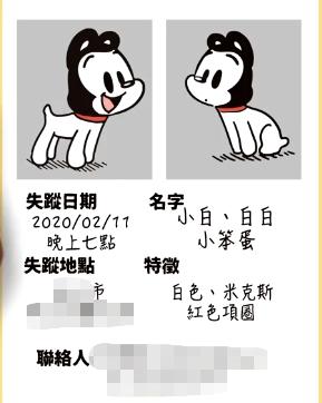 宠物狗走丢了一般怎么找回,在哪里寻找走丢的狗狗最有效