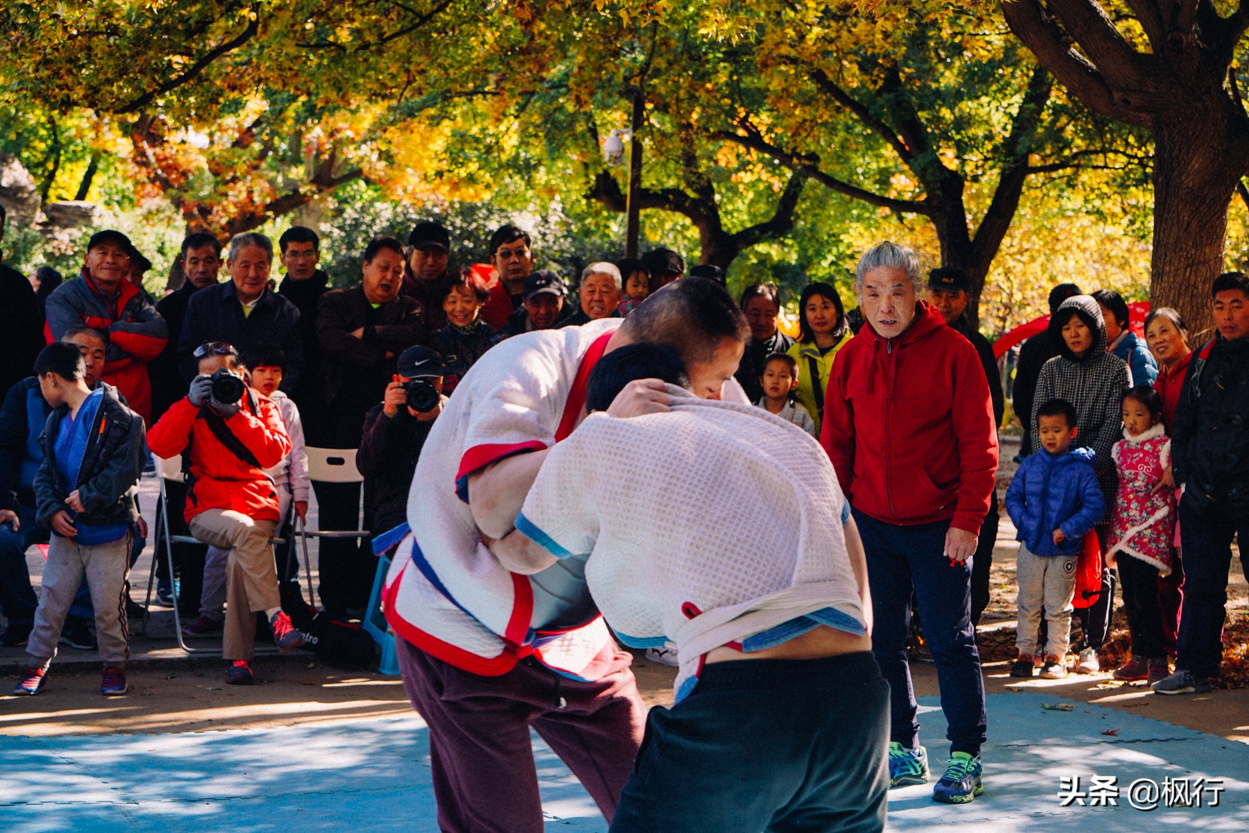 北京18个看银杏的好地方在哪,北京八大处看银杏攻略