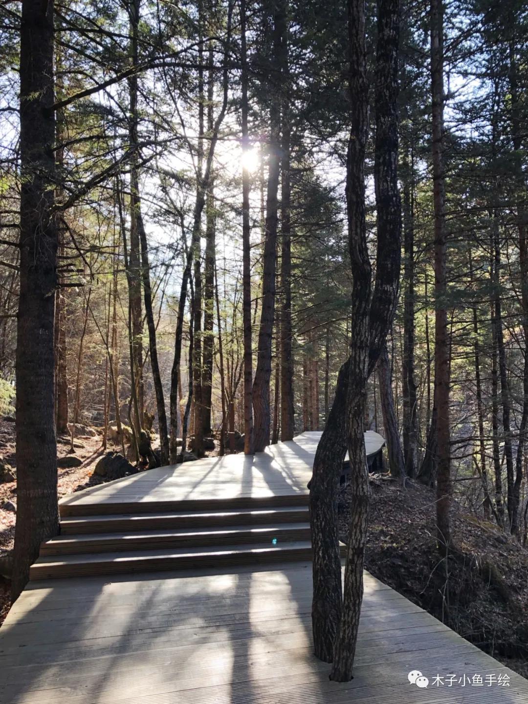 2021九寨沟官方视频,九寨沟跨年夜