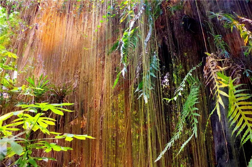 日本老人保持年轻的秘诀,87岁老人不老的秘诀