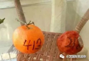 9秒快速识人课程,精准识人课