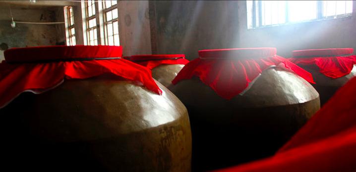 苏沧桑作品,苏沧桑小说