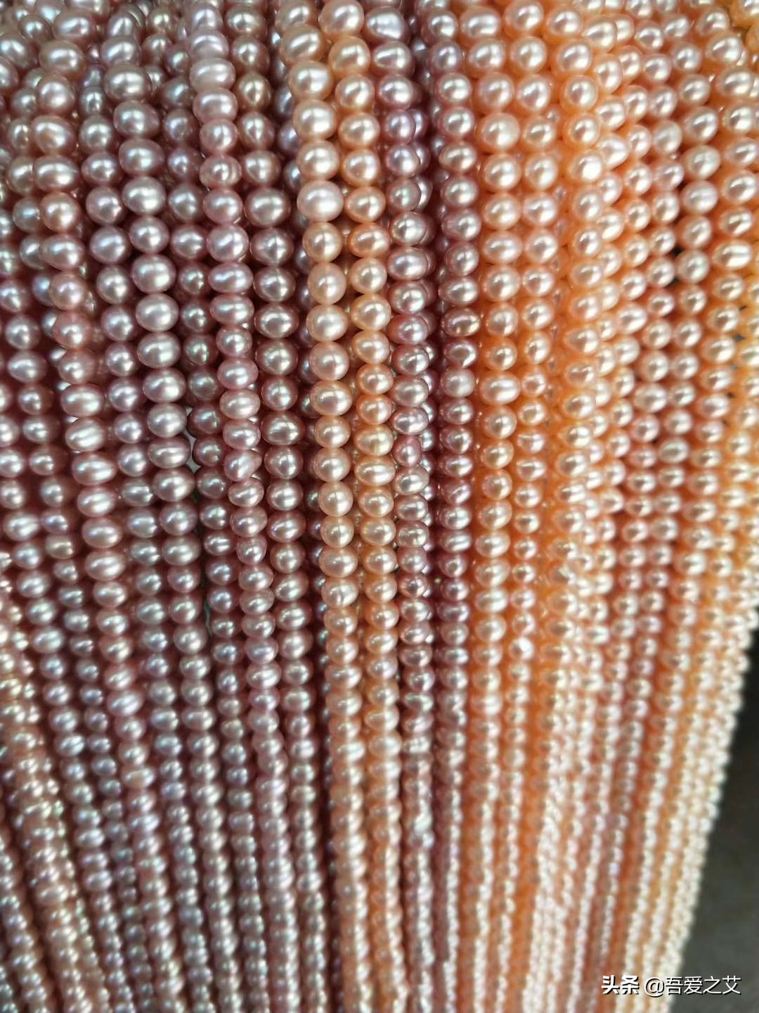 养殖珍珠和淡水珍珠的区别,淡水珍珠和淡水养殖珍珠有区别吗