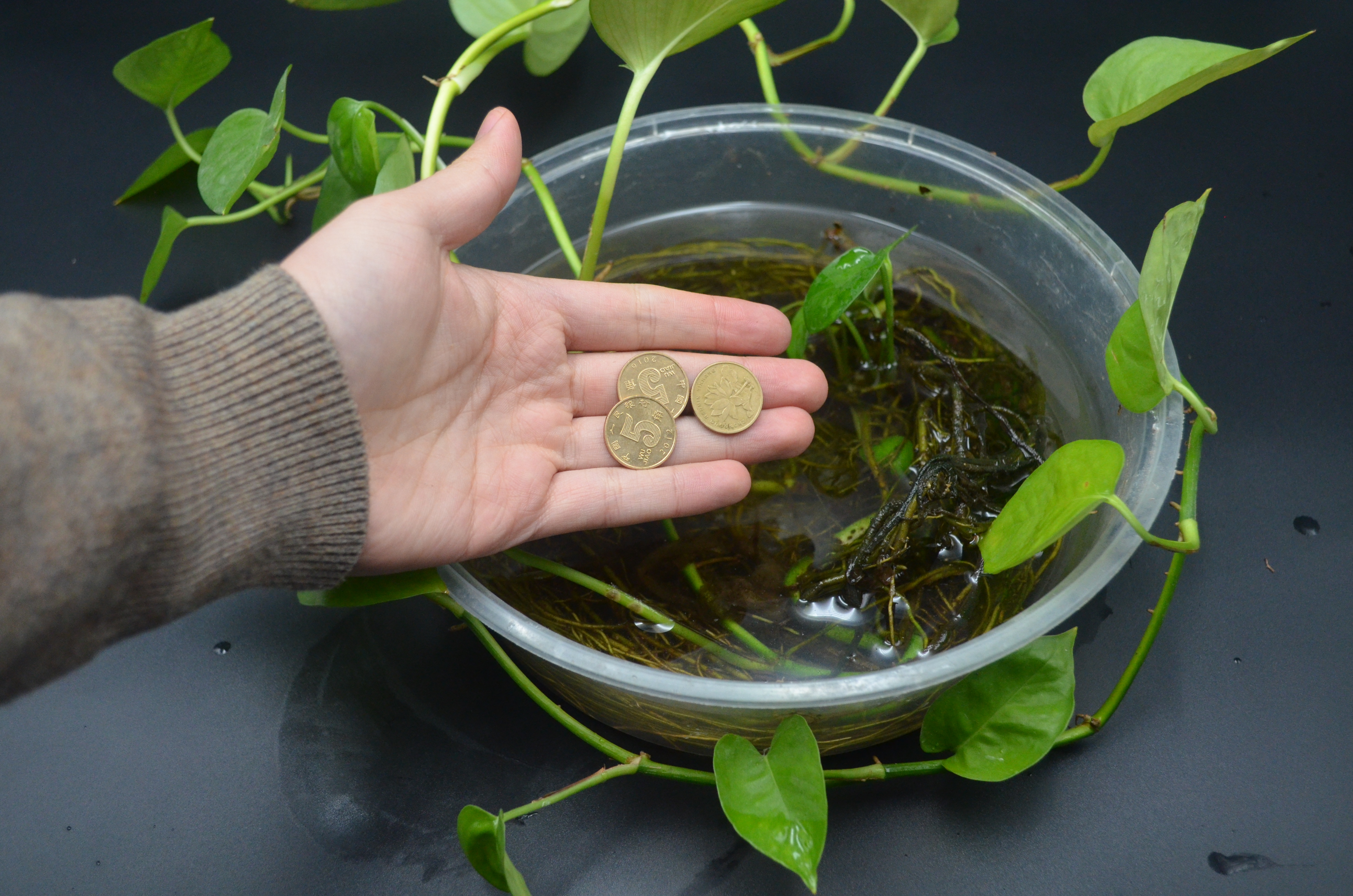 5角硬币放在墙角上有什么讲究,墙角扔五角硬币的禁忌