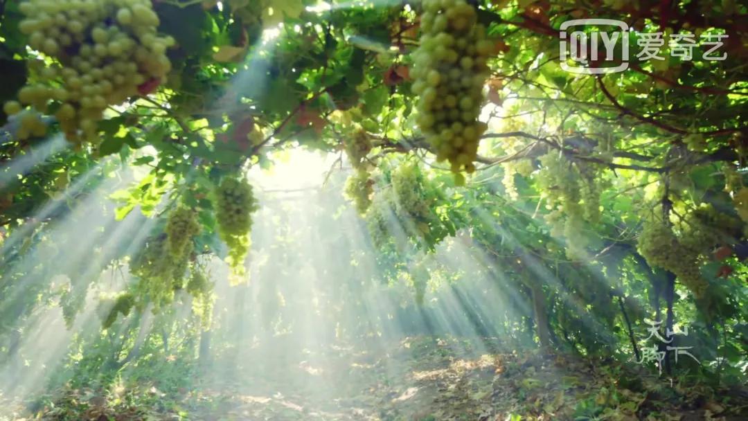 我国旅游日,中国旅游日5.19意义