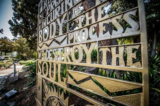 美国抗癌希望之城,美国希望之城医院