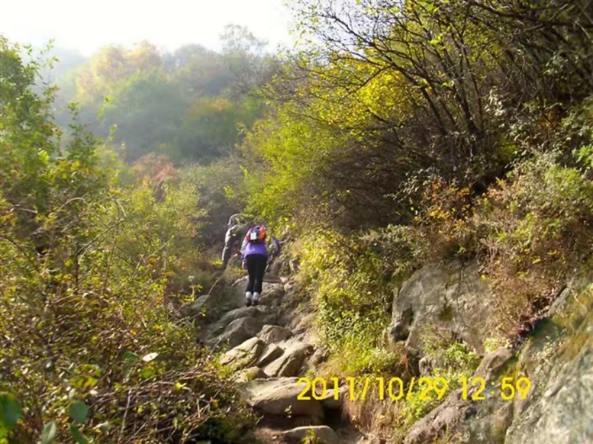 原创炒股之路讲解,炒股学习之路