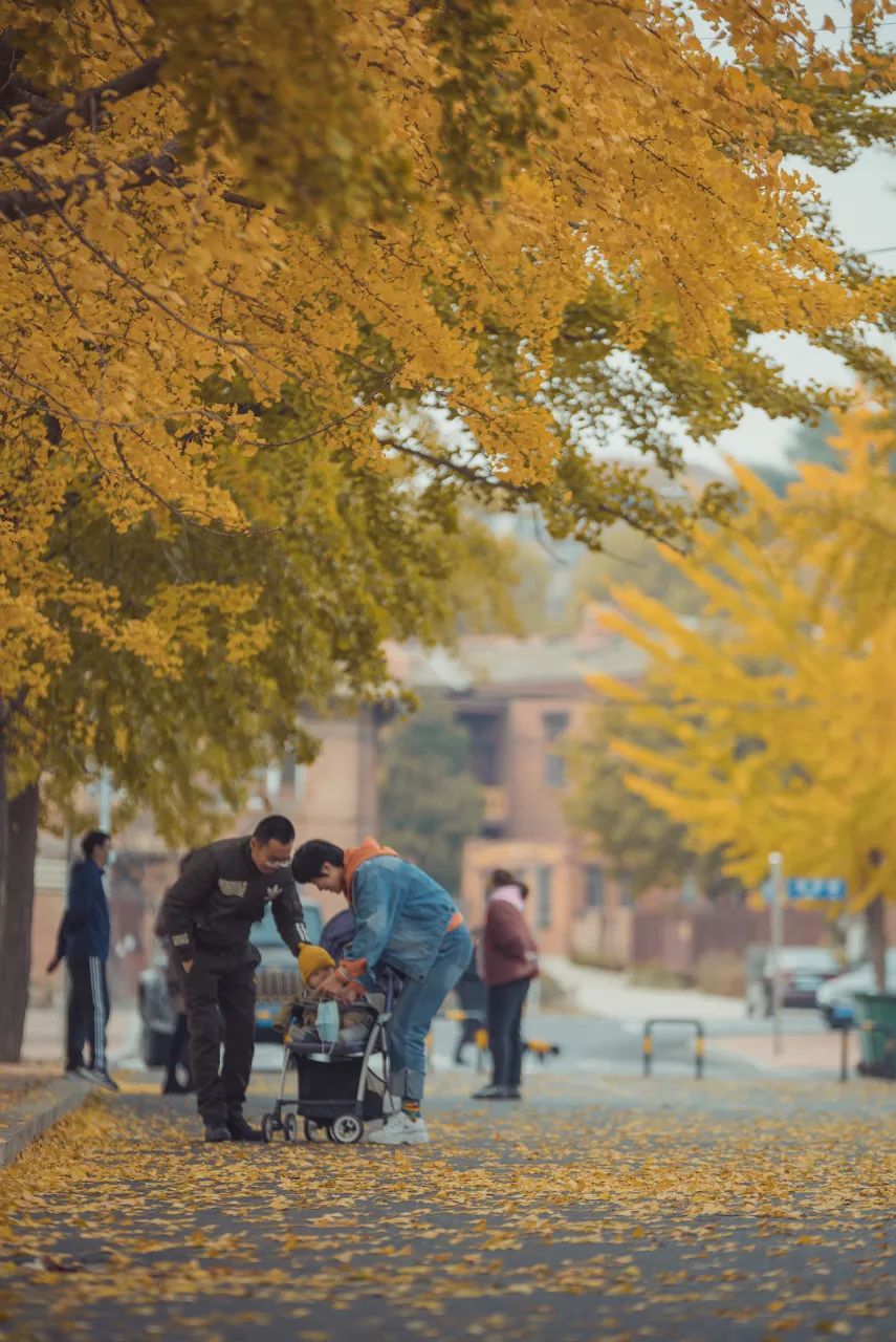 这些特大城市里，这个北方海边城市真的挺“大”
