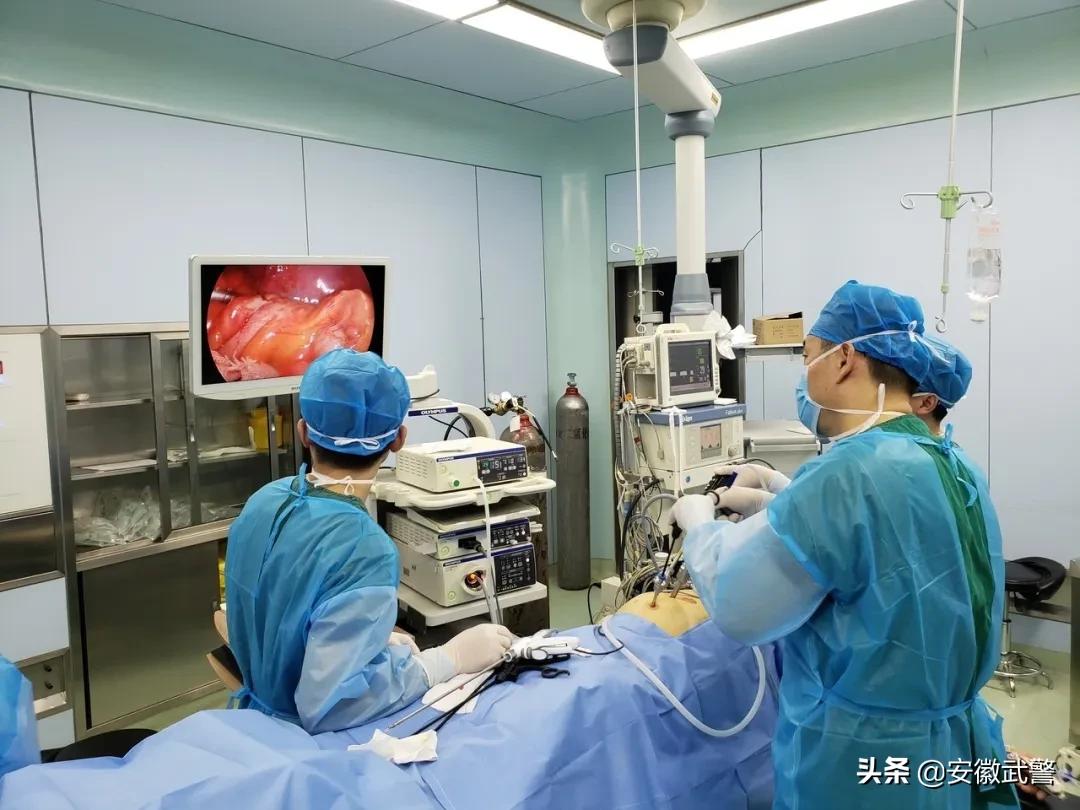 喜讯｜*警武**安徽省总队医院特色专业一科荣获“*队军**医疗工作先进单位”称号！