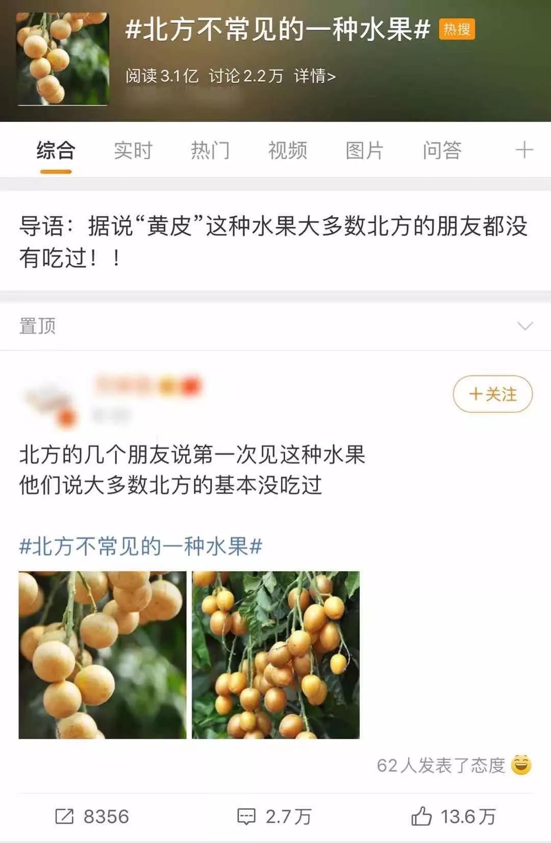 你吃过黄皮吗,你吃过红皮龙眼吗