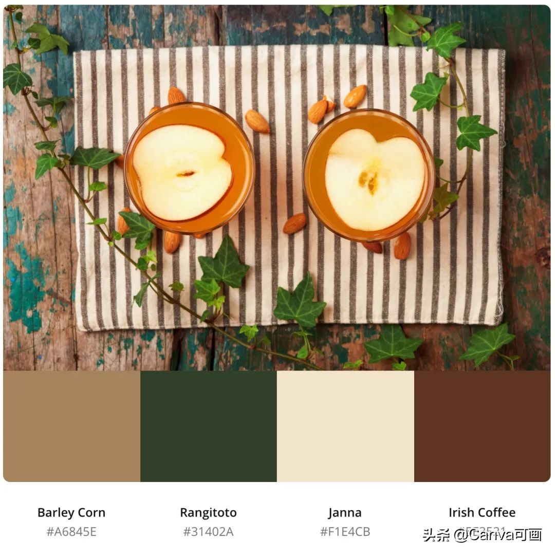 秋天配色插画秋高气爽,秋季高清插画