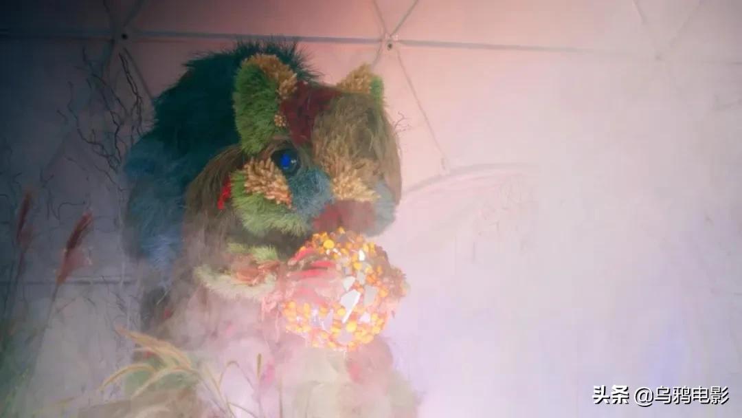 这也能拍出花?网飞又开挂了,每集都让我惊掉下巴