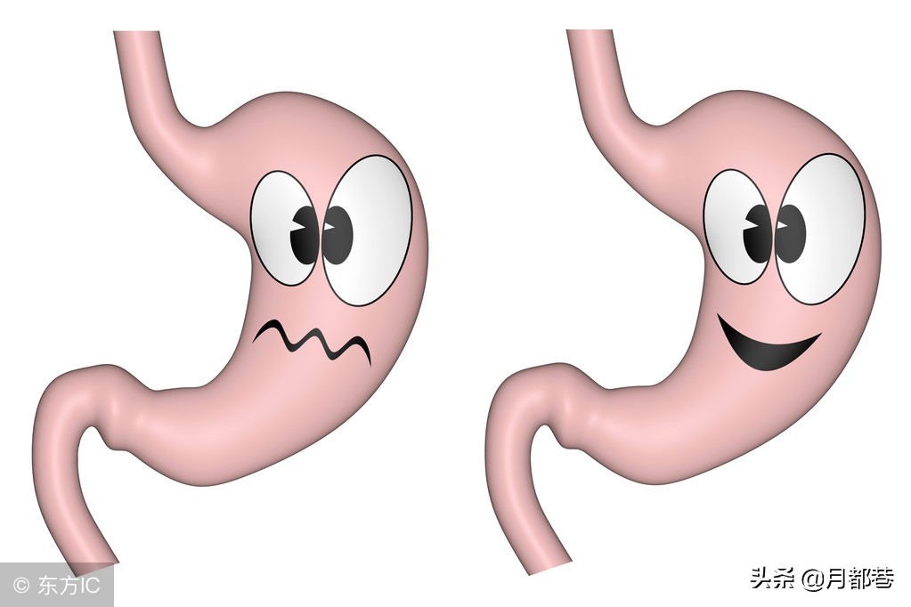狼青犬要怎么养，适合家养吗