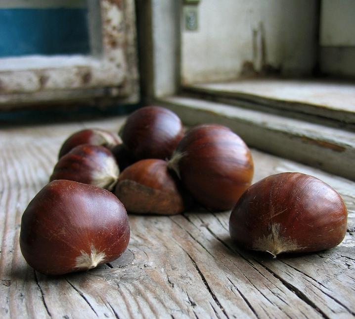 把蜘蛛赶走,把蜘蛛赶走的办法