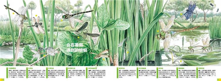 适合物理基础差的教辅书,高中生物理书籍推荐