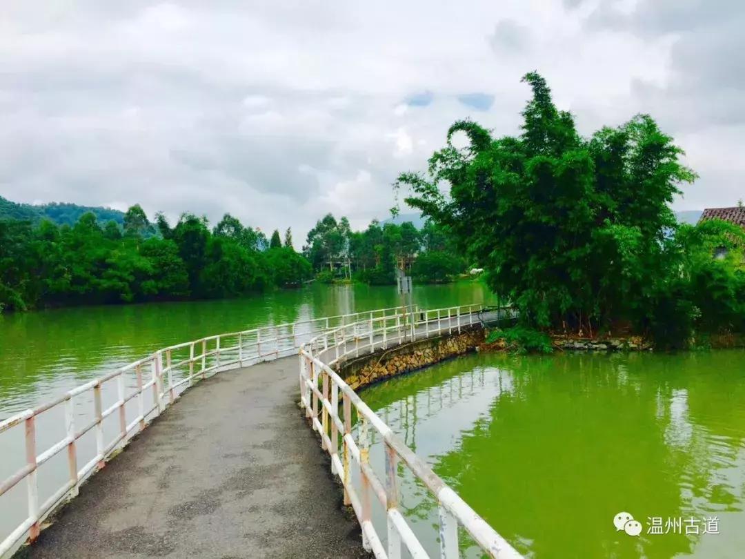 千年古村平阳县鸣山村古城夜景,平阳昆阳鸣山古村落