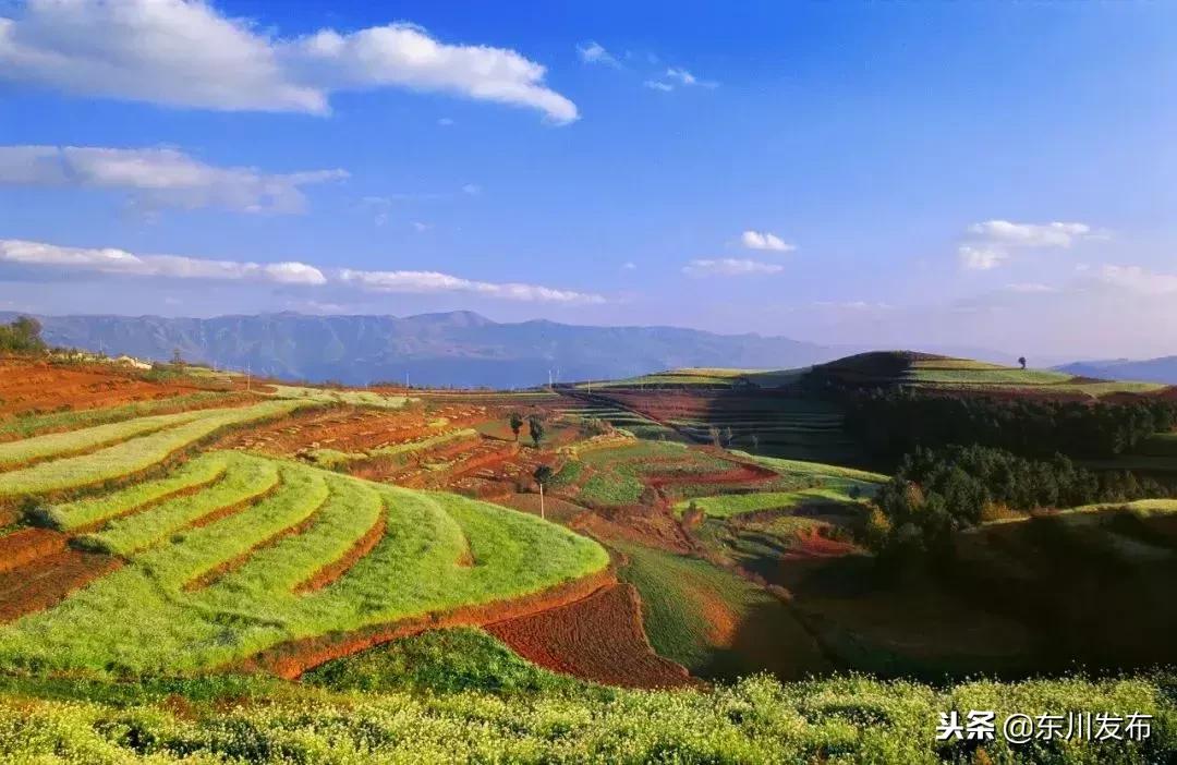 云南东川上帝打翻的调色板,东川红土地主要景点