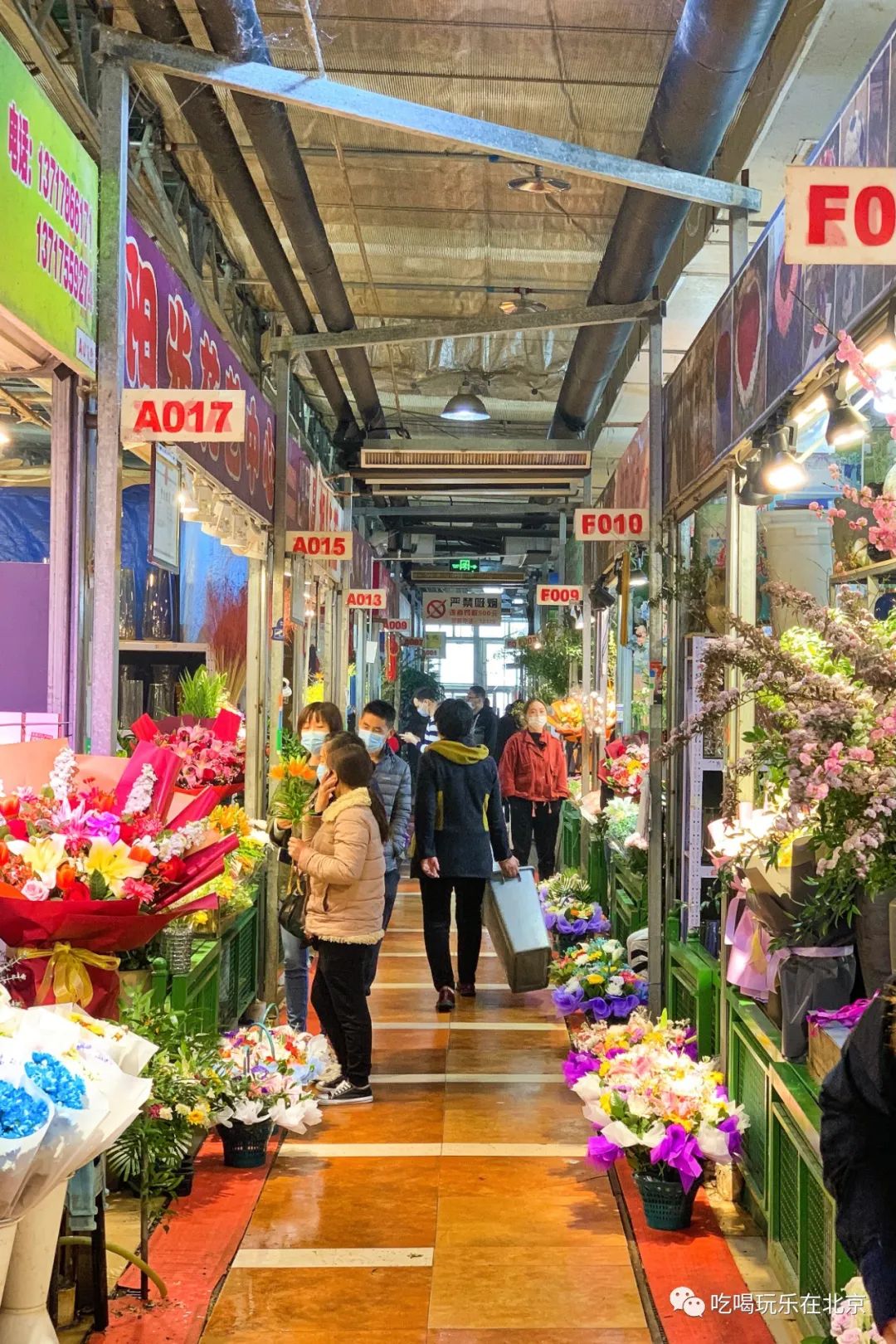 北京花市攻略大全,北京最美赏花景点