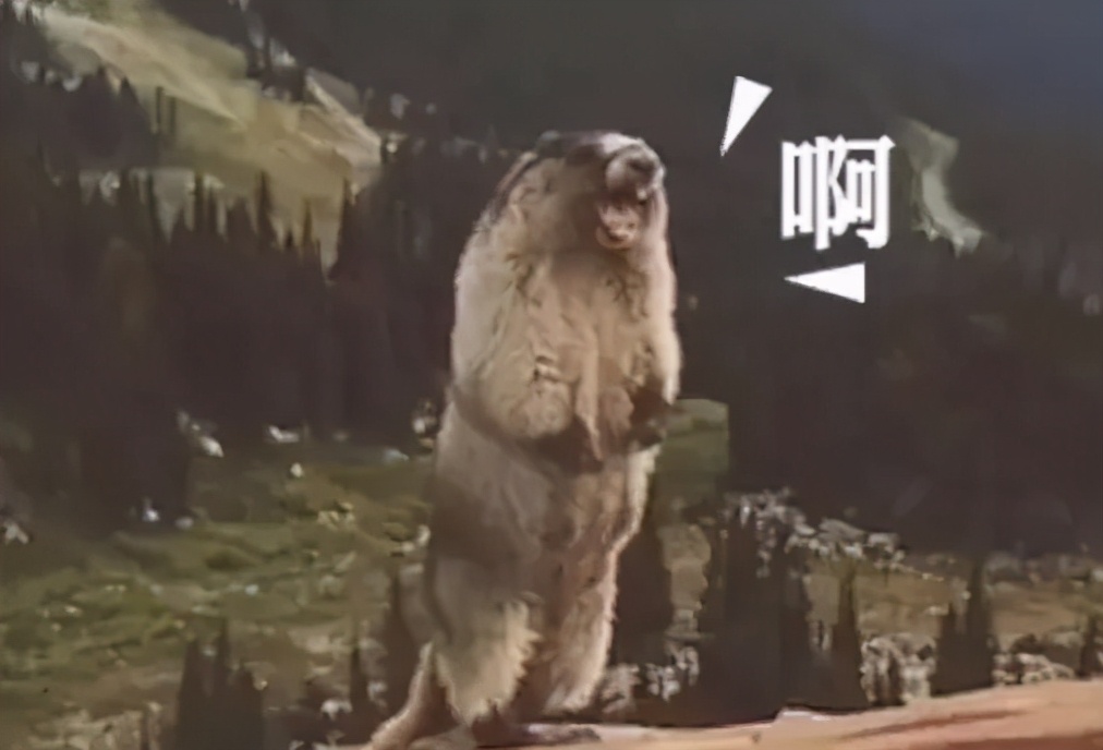 颜值“抱歉”就别硬演古装*男美**了，心疼我这双没见过世面的眼睛