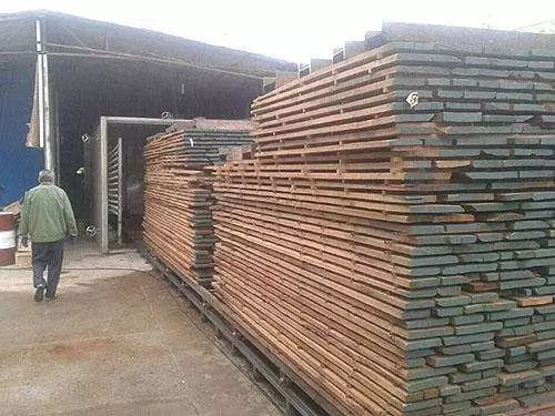 木材干燥过程开裂？这5个措施用得上