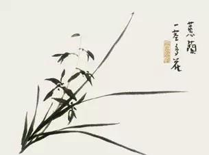 兰花的画法国画,兰花的画法步骤动画