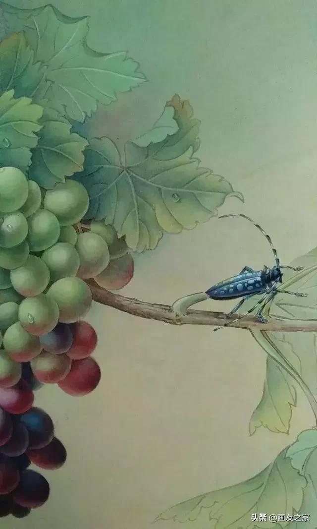 陈松岩工笔白描画全集,陈松岩工笔国画