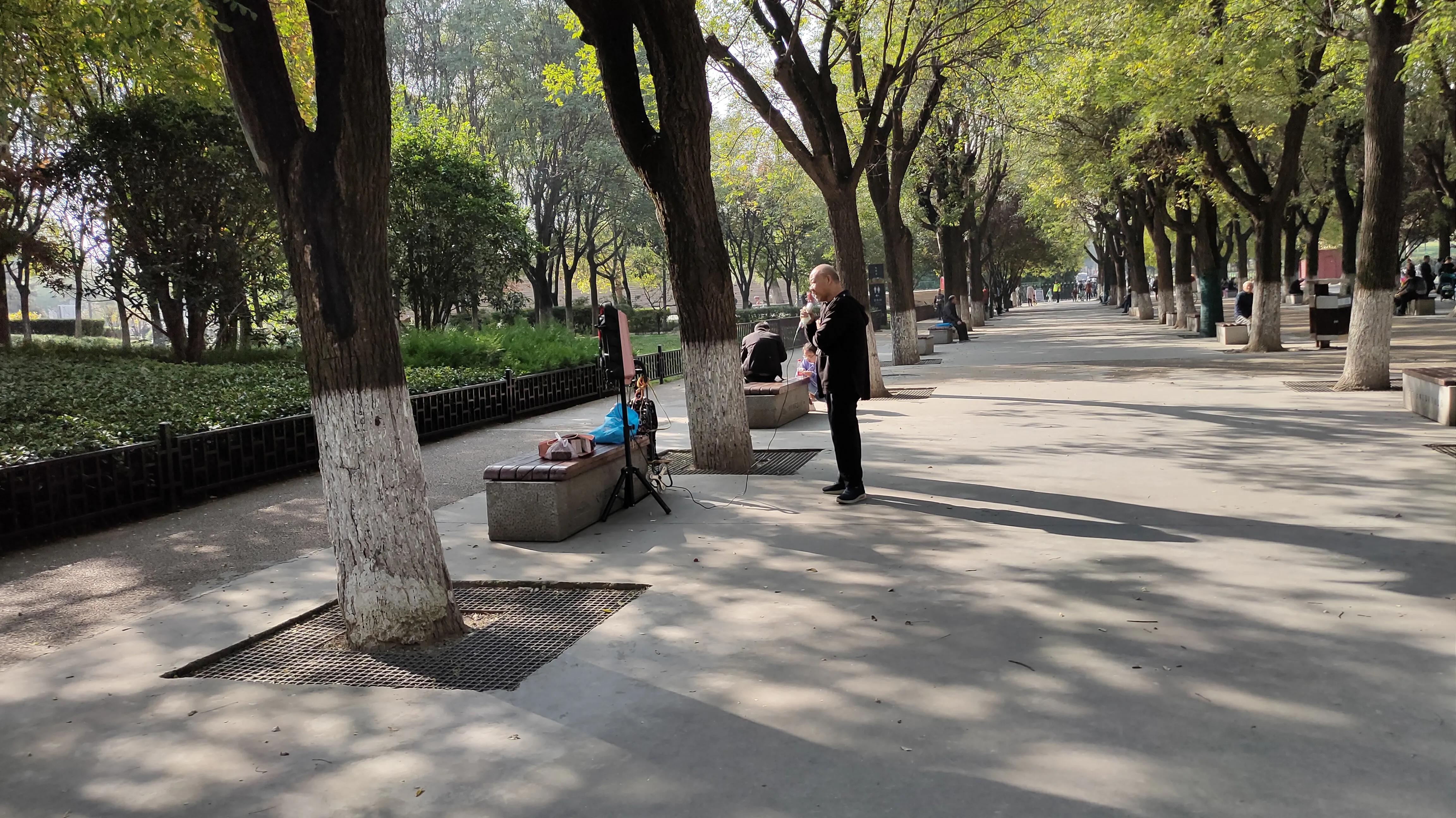 探寻西安大明宫国家遗址公园攻略,西安的大明宫遗址公园