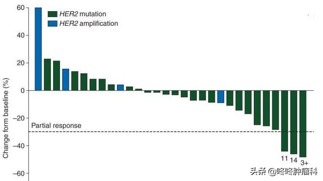 her2肺癌有靶向药吗,肺癌her2靶向药
